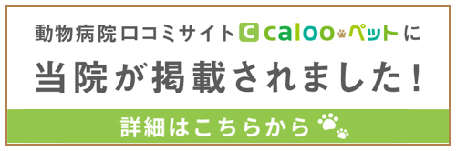 calooペットに当院が掲載されました!